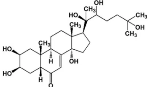 Figure 3. Representation of 20-hydroxyecdysone molecular structure (C 27 H 44 O 7 ). PubChem CID: 5459840.