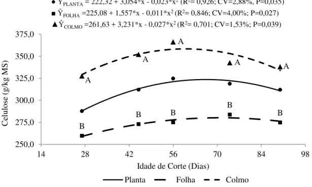 Figura 9. Conteúdos de celulose na planta  (●), folhas (■) e colmos (▲) do capim-tifton 85  aos 27, 45, 56, 74 e 90 dias de idade