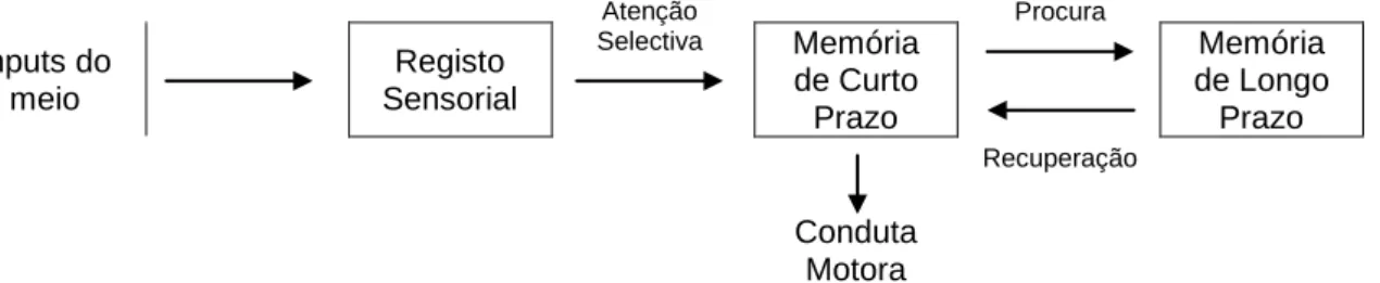 Figura 5. – Relação entre os compartimentos da memória. 