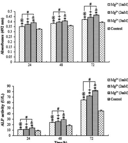 Figure 1. Average absorbance of osteoblasts treated with magnesium (Mg 2+ ). The absorbance of cells increased with the increasing  concentra-tion of Mg 2 + and with longer exposure time.