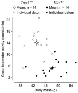 Figure 2) and results from decreased cutaneous heat loss and increased thermogenesis (46,47,63), suggesting that the TRPV1 channel is tonically active in vivo to regulate core temperature