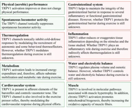 Figure 3. Overview of the physiological functions exerted by transient receptor potential vanilloid type 1 (TRPV1) channels