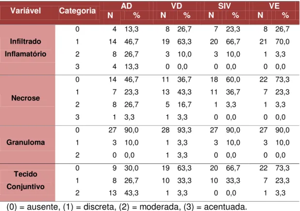 Tabela 2 –  Intensidades de infiltrado inflamatório, necrose, granuloma e  aumento de fibras colágenas observadas na parede livre de átrio  direito (AD), parede livre de ventrículo direito (VD), septo  interventricular (SIV) e parede livre de ventrículo es