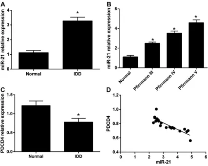 Figure 1. A, Expression of microRNA-21 (miR-21) from patients with intervertebral disc degeneration (IDD) and from normal controls