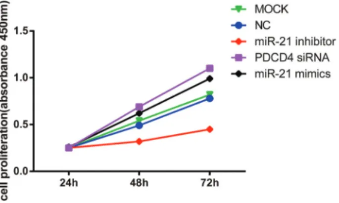 Figure 3. Growth curve of cells in each group after transfection (MOCK: blank control group; NC: negative control group; PDCD4: