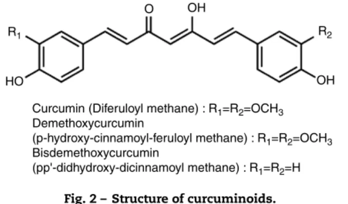 Fig. 2 – Structure of curcuminoids.