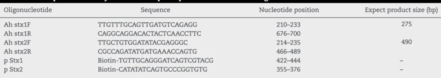 Table 1 – PCR primers and hybridization capture probe for stx1 and stx2 genes.