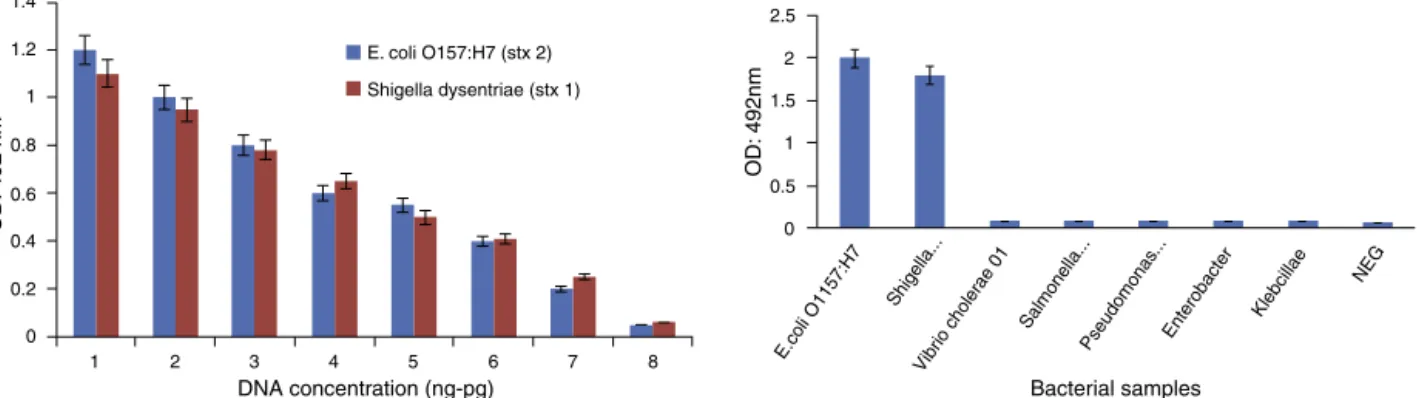 Fig. 5 – Specificity and sensitivity of PCR-ELISA assay for stx2 and stx1 hybridization