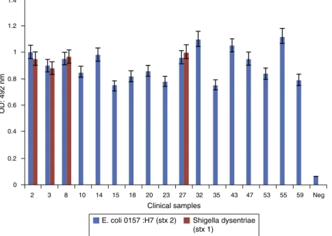Fig. 6 – PCR-ELISA analysis of clinical samples, E. coli O157:H7 (stx 2) and Shigella dysenteriae