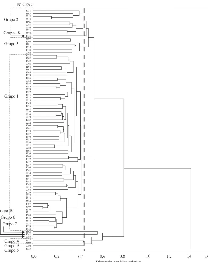 Figura 2. Análise de agrupamento de 86 acessos de Stylosanthes macrocephala baseada na matriz de distâncias genéticas calculadas com 161 marcadores RAPD