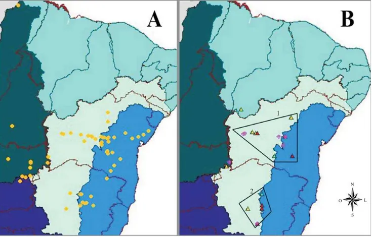 Figura 4. Distribuição geográfica dos acessos de geneticamente próximos (A). Distribuição dos acessos mais divergentes geneticamente (B)