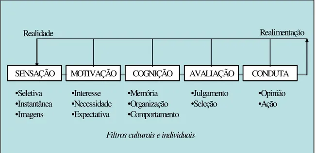 Figura 5: Esquema teórico do processo perceptivo  Fonte: Del Rio (1996) 
