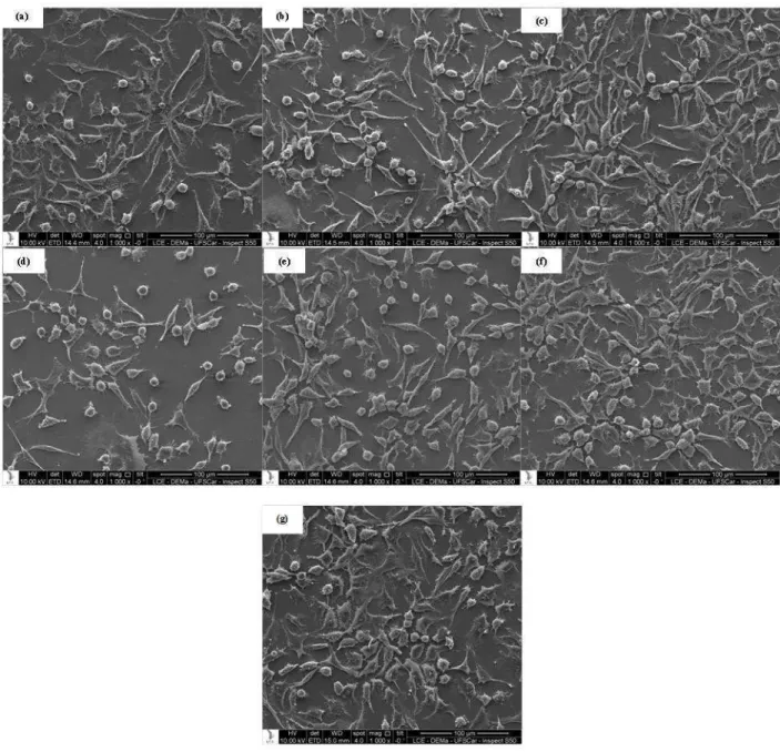 Figura 1. Células L929 em contato com os eluatos de 24 horas dos materiais  testados, na seguinte seguência: (a) Ufi Gel P, (b) Sofreliner S, (c) Coe Comfort, (d)  Softone, (e) Durabase Soft, (f) Trusoft e (g) Controle (sem eluatos), com aumento de  1000X