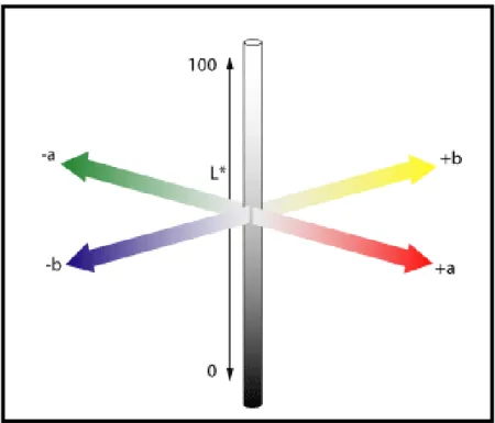 FIGURA   2 - Modelo L*a*b*: L *  =100 (branco); L* = 0 (preto); a* = eixo vermelho ao verde; 