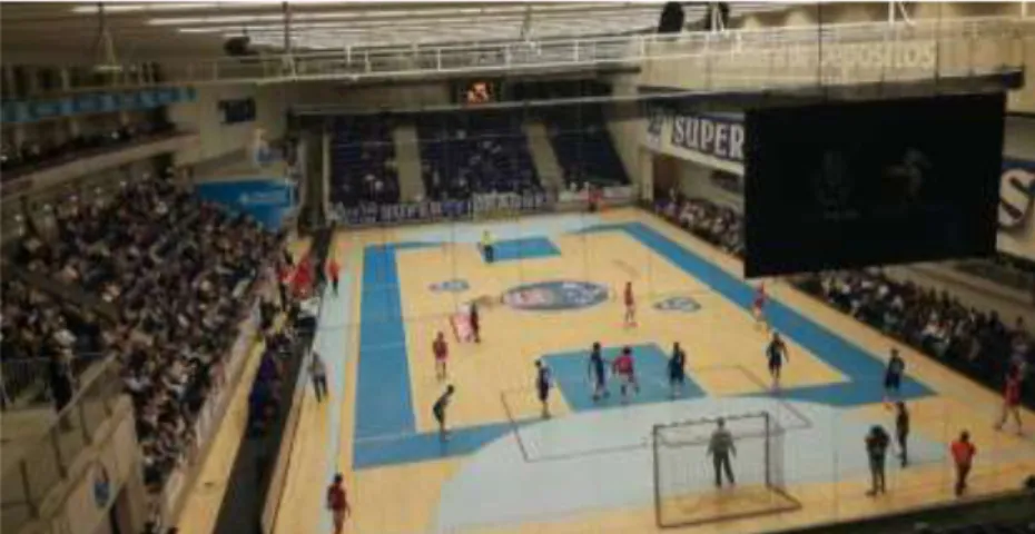 Figura 16 Ambiente do Dragão Caixa num jogo de andebol entre FC Porto e Benfica  (fotografia de autor)