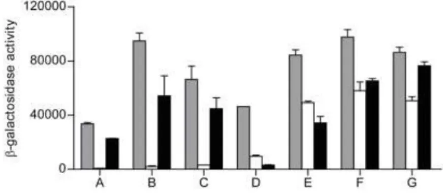 Figure  1:  E.  coli  RIC  interactions  investigated  by  BACTH.  β-Galactosidase  activities of  E