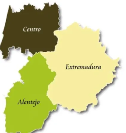 Figure 1. EuroACE (Alentejo, Centro and Extremadura Regions) area delimitation   Source: www