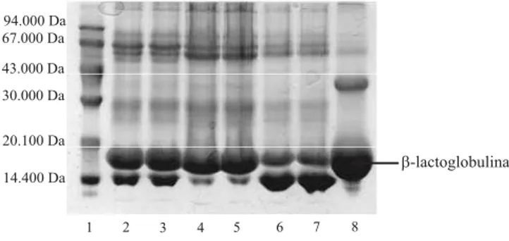 Tabela 1. Composição centesimal do soro de leite desnatado e das amostras de proteínas complexadas com carboximetilcelulose (CMC), em base seca (1) .