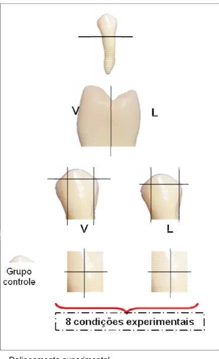 FIGURA 9 – Delineamento experimental. 