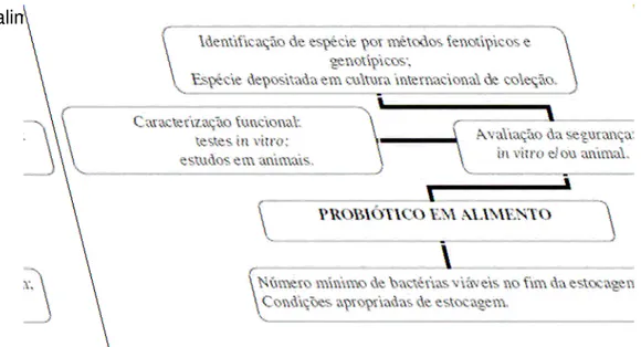 FIGURA 1 – Etapas para avaliar um microrganismo probiótico para uso em alimentos.