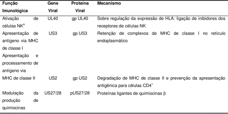 Tabela 1 – Genes do HCMV associados com a evasão da resposta imunológica. 