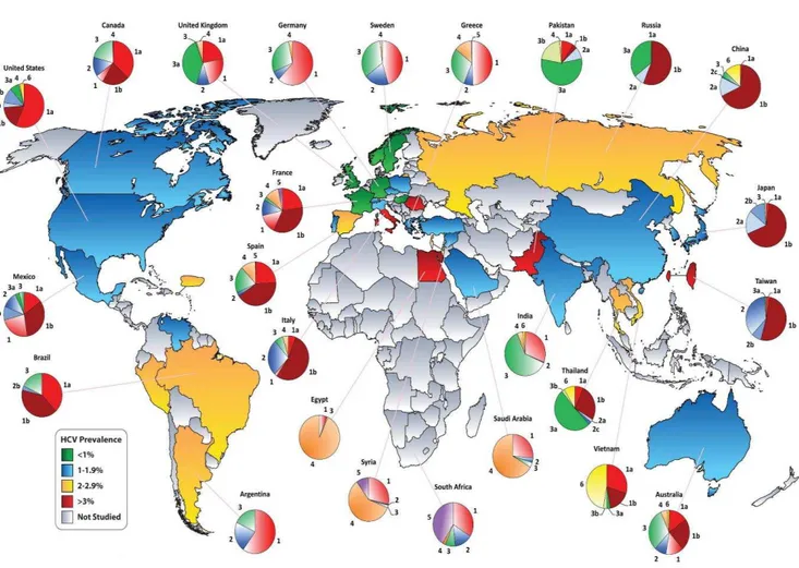 Figura  2:  Distribuição  geográfica  mundial  dos  genótipos  do  HCV.  Fonte:  Adaptado  de  NEGRO; ALBERTI, 2011 