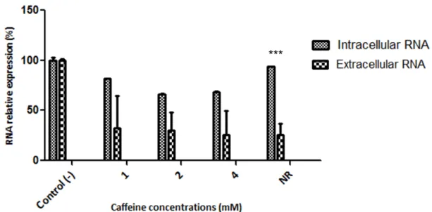 Figura 3. Inibição da liberação do HCV pela cafeína. A inibição do RNA de  JFH- 1  foi  demonstrada  por  qPCR  para  a  região  5’UTR  do  HCV