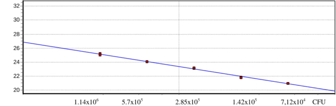 Figura 6 – Curva-padrão da bactéria P. intermedia. O declive variou entre 3.48 – 3.502  (≠ máxima |0.022|); a eficiência de reacção entre 93%-94%; e o R^2 entre 0.991-0.995