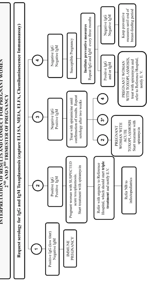 Figure 2. Interpretation of results and conduct for pregnant women in the latter part of pregnancy (after four months of pregnancy) [61].