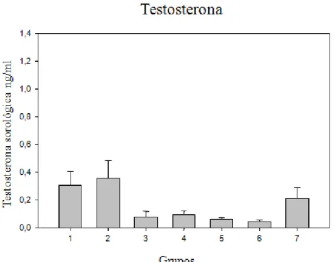 Figura 2. Níveis sorológicos de testosterona dos animais ao final do  experimento 