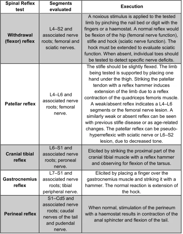 Table 5 – Important spinal reflex tests for the evaluation of a patient with CES (adapted from: 