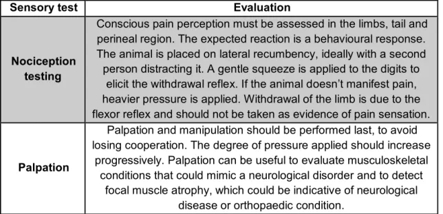 Table 6 – Sensory tests for evaluation of the sensory system of the neurologic patient with CES  (adapted from: Parent, 2010; Platt &amp; Olby, 2012)