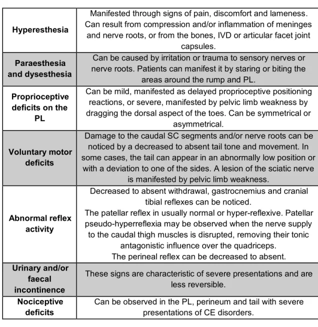 Table 7 – Clinical signs of CE disorders (summarized) (adapted from Dewey &amp; da Costa, 2016)