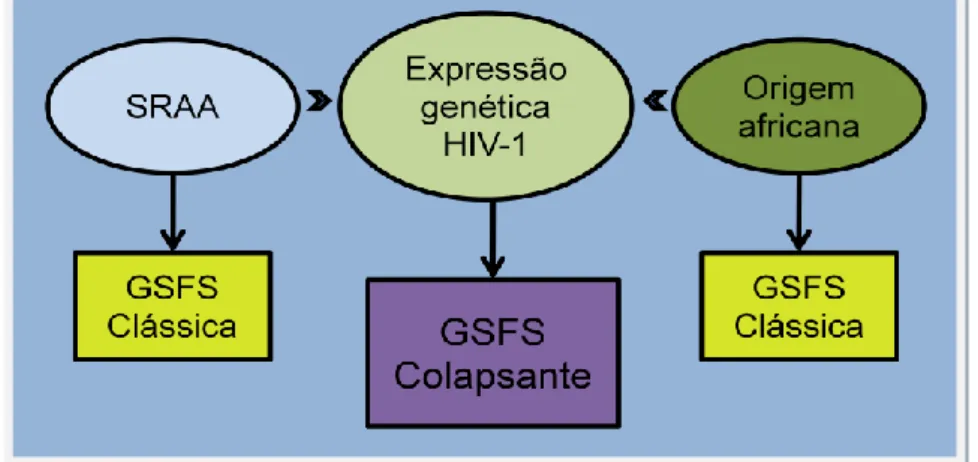 Figura 9. Confluência de factores contribuindo para a patogenia do HIVAN. 