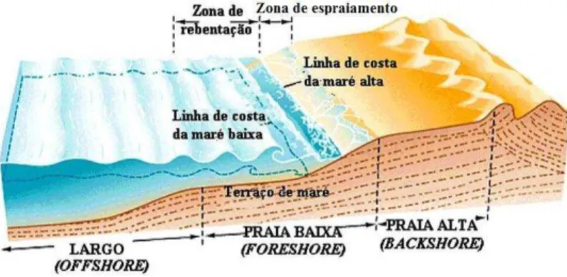 Figura 5: Zonas típicas do perfil de uma praia (adaptada de Neves, 2004). 