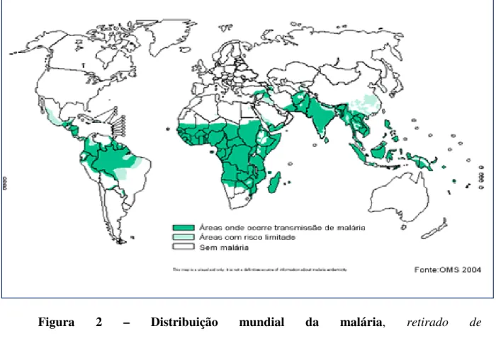 Figura  2  –  Distribuição  mundial  da  malária,  retirado  de  http://www.layum.com/v5/img/vistos/mapa_malaria_mundo.gif 