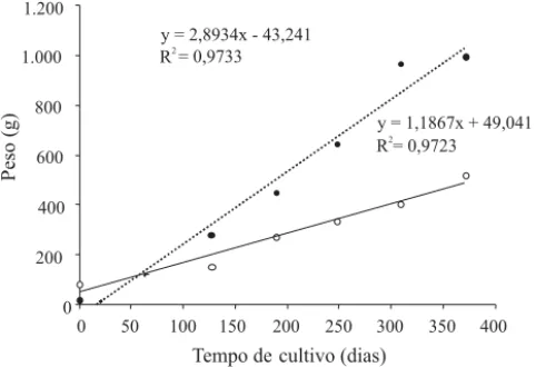 Figura 1. Crescimento de tambaquis cultivados durante 371 dias, em consórcio com suínos (  , Viveiro A) e  não-con-sorciado (   , Viveiro B), utilizando produtos agrícolas e  flores-tais como alimento suplementar.