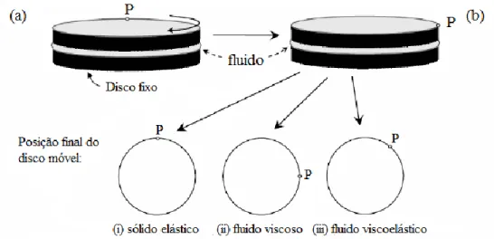 Figura 1.7. Ilustração do comportamento de um fluido viscoelástico entreposto em dois  discos rígidos num escoamento de corte simples: (a) posição inicial dos discos; (b) posição  no final da rotação