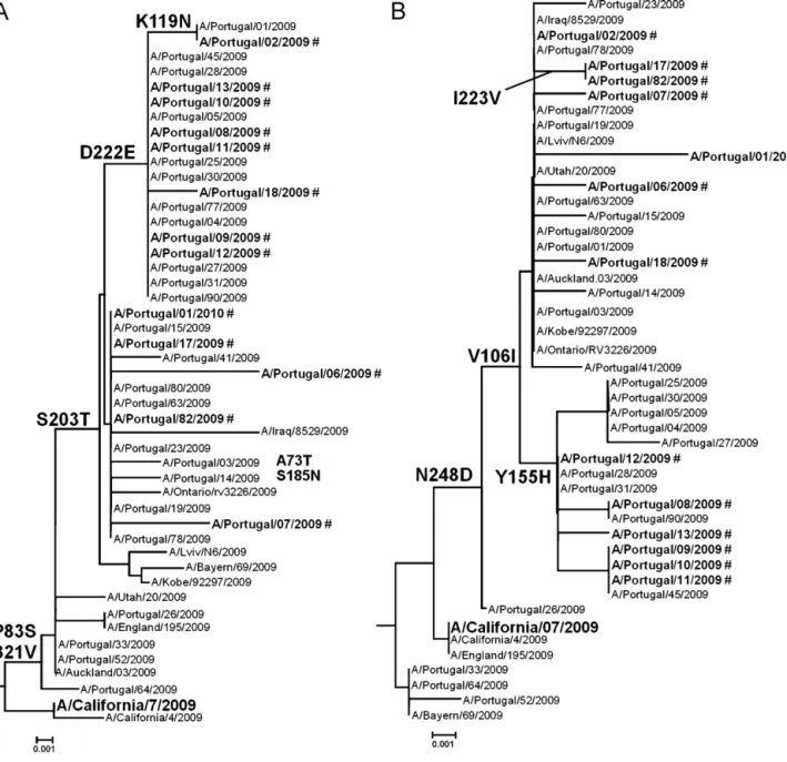 Fig. 1. Phylogenetic analysis of the aminoacid sequences of HA1 subunit of hemagglutinin (1A) and neuraminidase (1B) genes of inﬂuenza A(H1N1)pdm09 strains circulating in Portugal.
