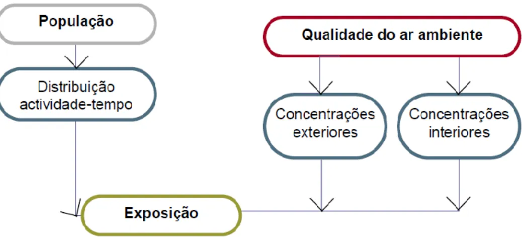 Figura 2.6 – Condicionantes para determinação da exposição humana. 