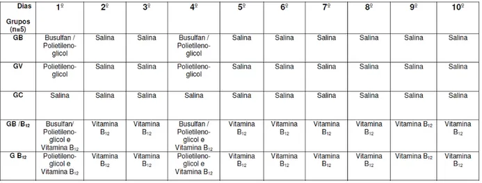 Tabela 1- Protocolo de tratamento dos animais de cada um dos grupos, do 1º ao 10º  dia