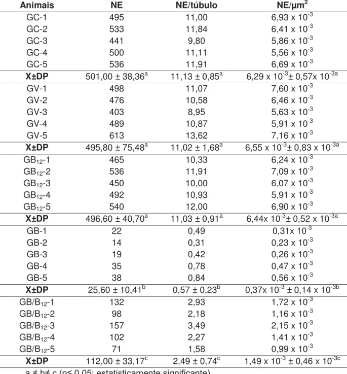 Tabela 4- Número de espermatogônias (NE), número de espermatogônias/túbulo  seminífero (NE/túbulo), e número de espermatogônias/ ȝm 2  de túbulo seminífero  (NE/ ȝm 2 ) dos animais do grupo controle (GC), veículo (GV), vitamina (GB 12 ), busulfan  (GB) e b