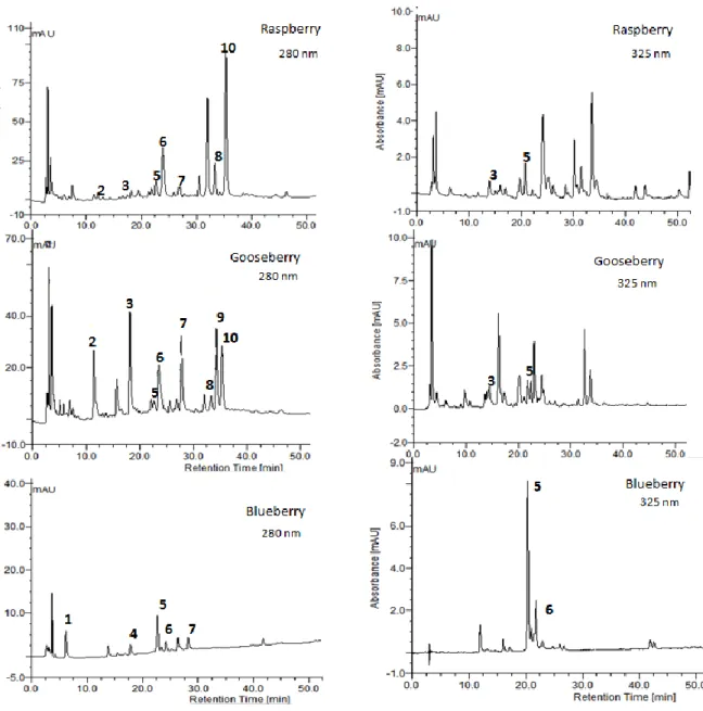 Fig. 6. Chromatographic profiles (280 and 325 nm) of the phenolic acids quantified in the three fruits   at complete maturation