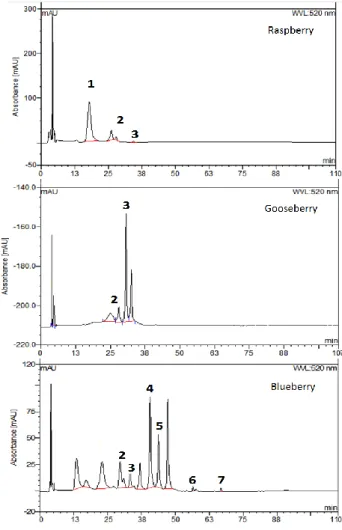 Fig. 5. Chromatographic profiles of the monomeric anthocyanins quantified in the three fruits at complete maturation