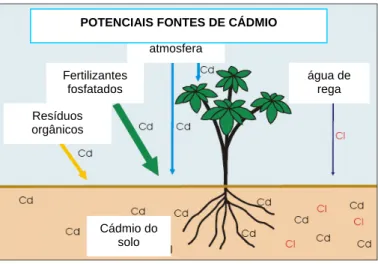 Figura 1.1 – Potenciais fontes de cádmio para as plantas (adaptado de  http://www.cpcb.nic.in/News%20Letters/Latest/cadmium/ch8-CADMIUM.htm) 