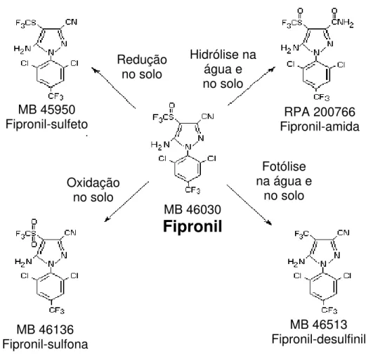 Figura 2 – Vias de degradação do fipronil no meio ambiente (PEI et al.,  2004). 