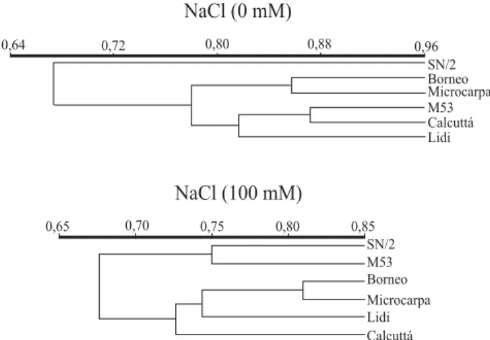 Figura 2. Análises de agrupamentos dos genótipos diplóides de bananeira, obtidas pelo programa NTSYS-pc usando a opção UPGMA (Unweighted Pair-Group Method Arithmetic Average), nos tratamentos T0 (0 mM de NaCl) e T1 (100 mM de NaCl).