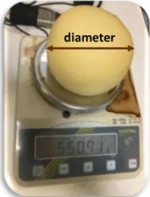 TABLE I.  N UMBER OF CHEESES BY CONSERVATION METHOD  Conservation Method  Day of analysis  Number of samples 