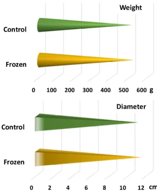 Figure 4.  Weight and diameter of evaluated cheeses in initial state. 