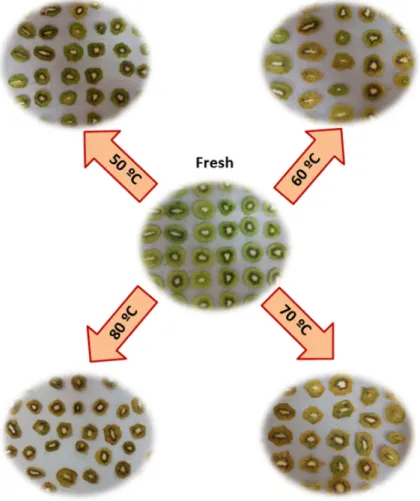 Table 4 shows the results obtained for the textural characteristics of  the  kiwi samples